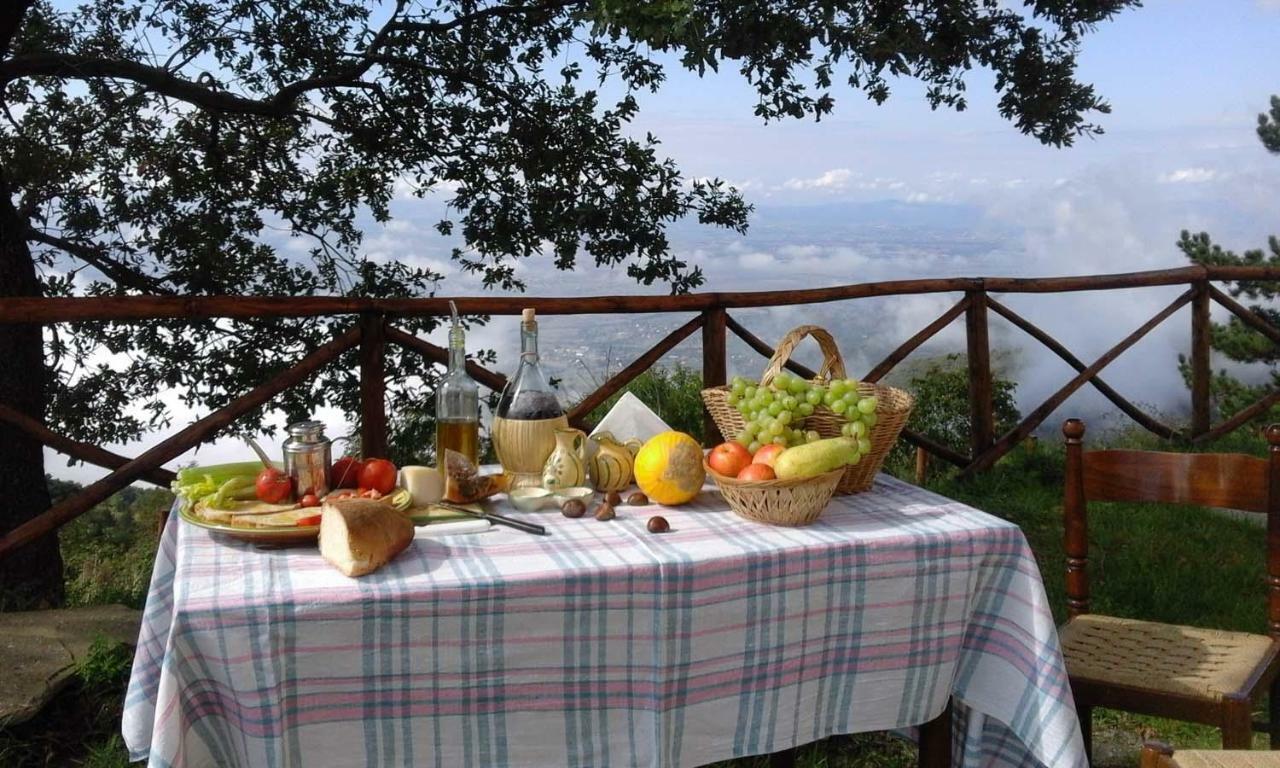 La Casa Gialla Belvedere Cortona Exterior photo