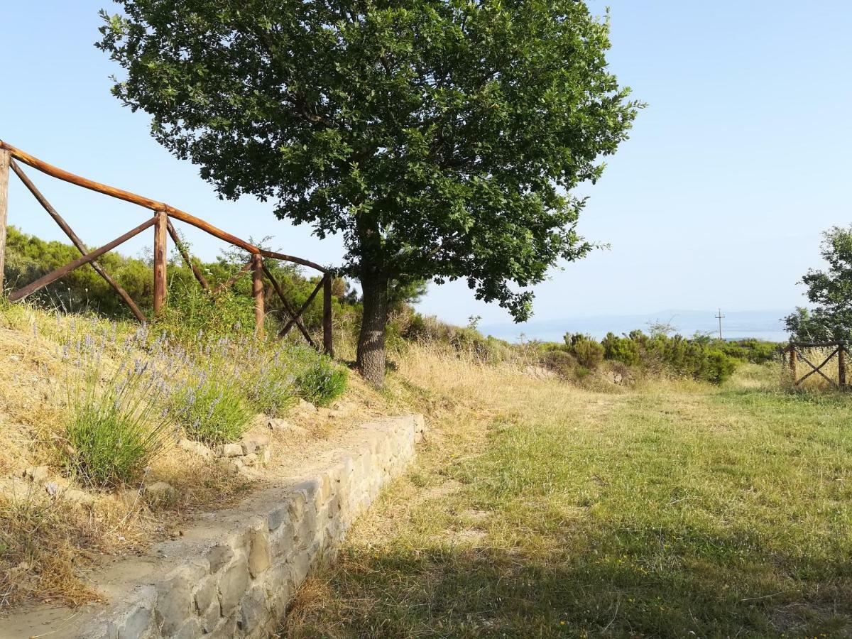 La Casa Gialla Belvedere Cortona Exterior photo
